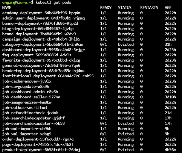 Terminal kubectl get pods command screenshot