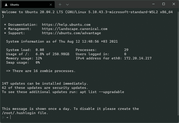 Message of the Day prompt on Window Terminal window